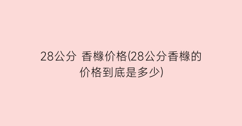 28公分 香橼价格(28公分香橼的价格到底是多少)
